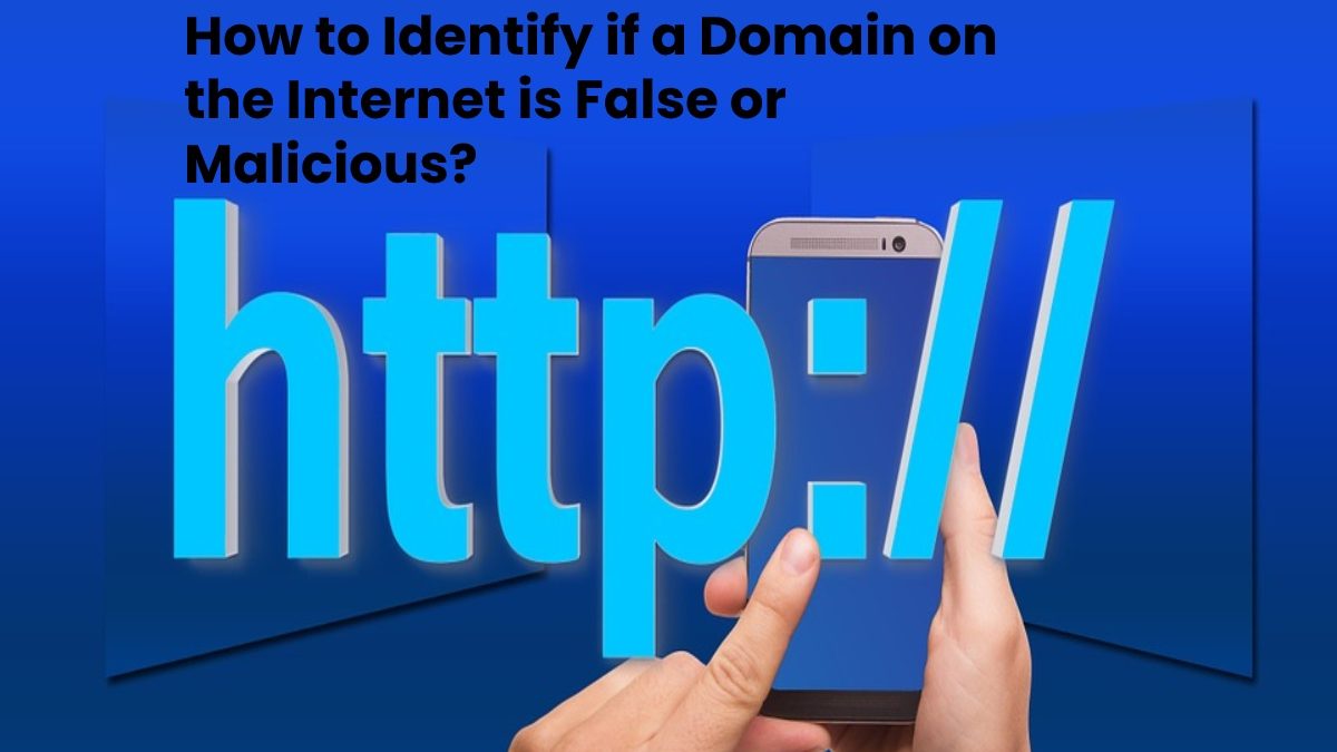 How to Identify if a Domain on the Internet is False or Malicious?