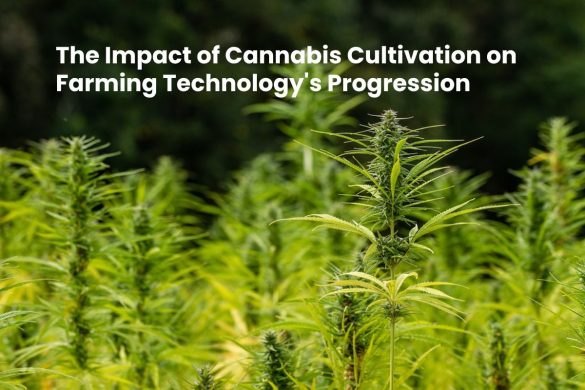The Impact of Cannabis Cultivation on Farming Technology's Progression