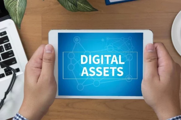 Manage Your Company's Digital Assets
