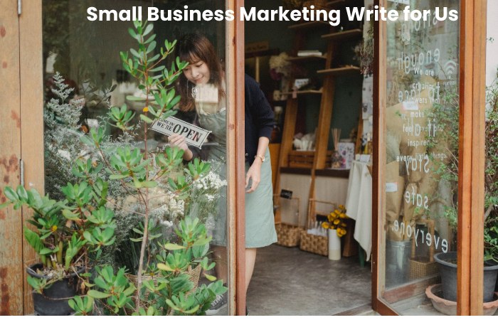 Small Business Marketing Write for Us (1)