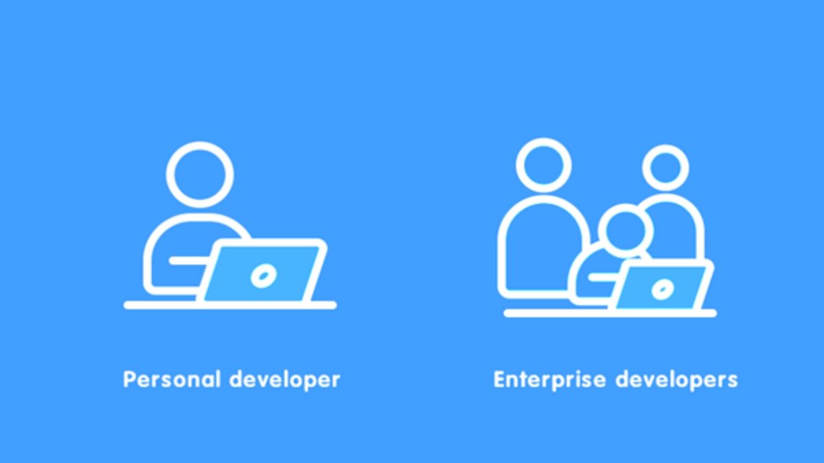 Who are Enterprise Developers?