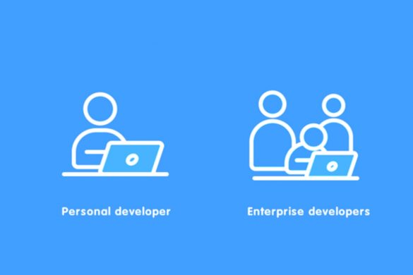 Who are Enterprise Developers