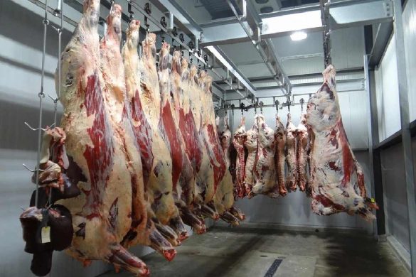 What Makes Up A Slaughter Line_ A Look At The Technology