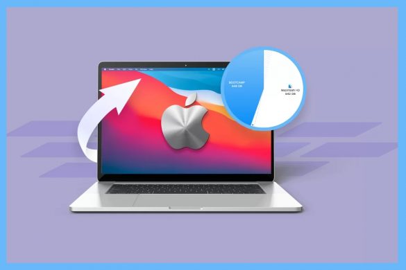 How to Recover Data from Accidentally Formatted macOS