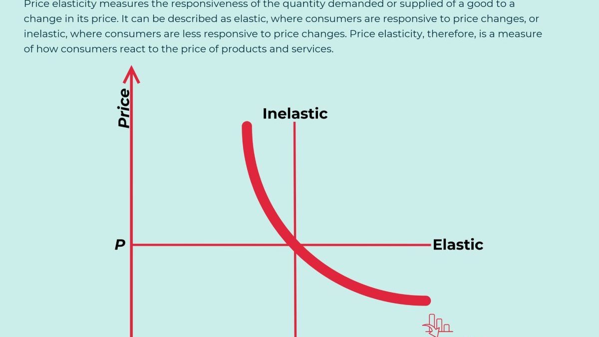 The Power of Price Elasticity in 2023: Things to Know