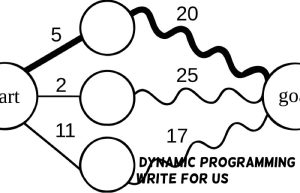 dynamic programming write for us