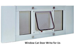 window cat door write for us