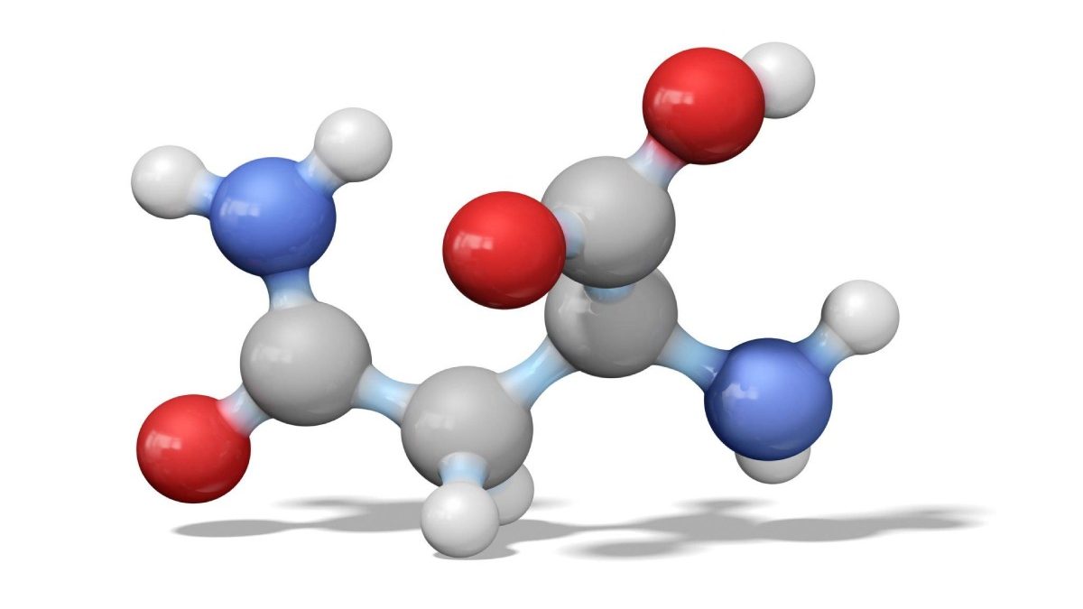 Private Label Amino Acid Manufacturing