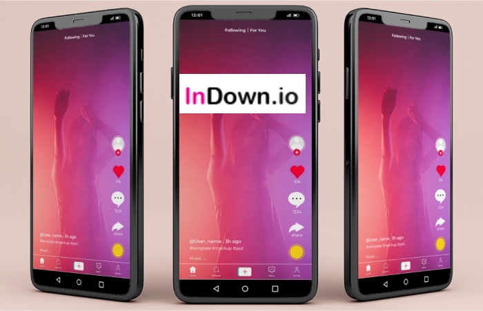 About Indown.Io_