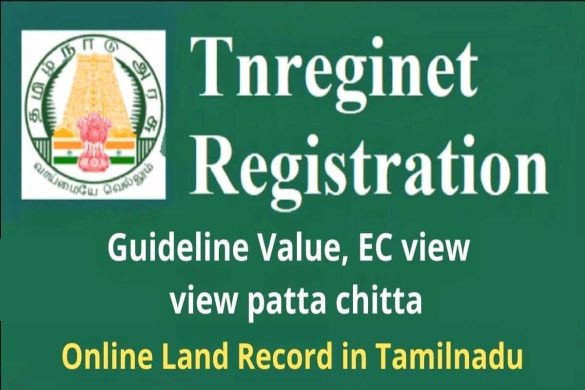 Tnreginet. Gov. In Patta